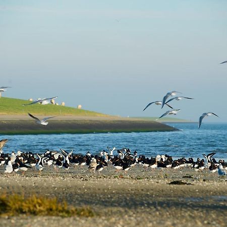 Breeze Ameland Hotell Hollum  Exteriör bild