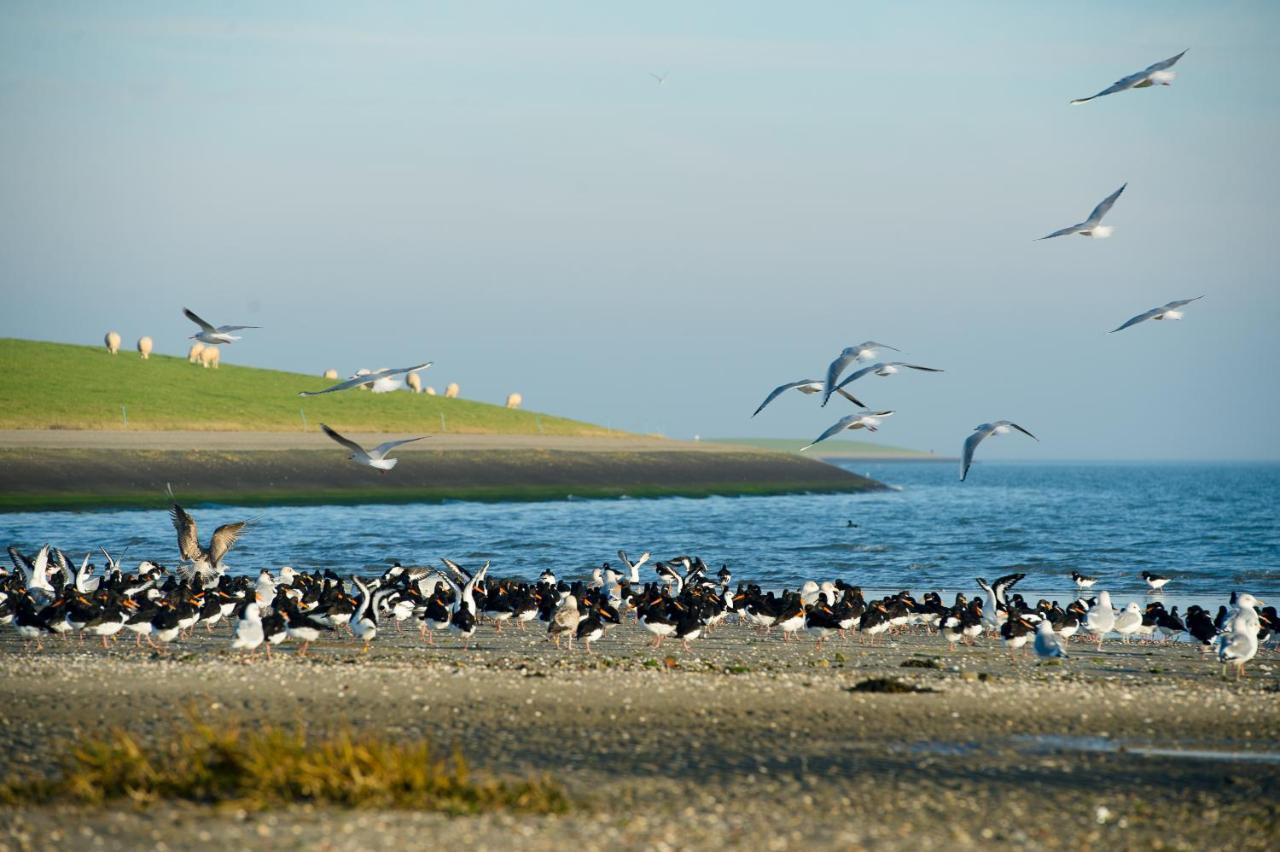 Breeze Ameland Hotell Hollum  Exteriör bild